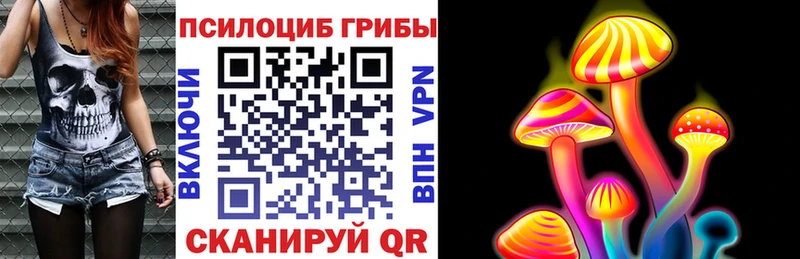 Псилоцибиновые грибы GOLDEN TEACHER  цена   Ардон 